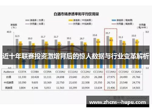 近十年联赛投资激增背后的惊人数据与行业变革解析
